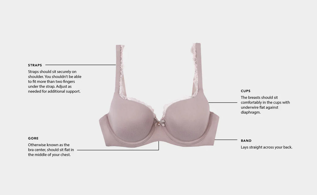 Fit Guide - Bras - How To Measure – Smart & Sexy